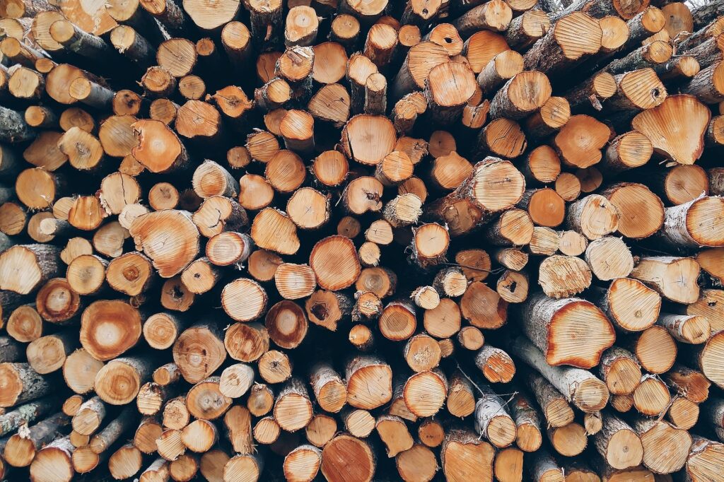 Brennholz